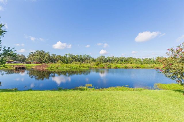 16502 WINDSOR PARK DRIVE, Lutz, FL 33549