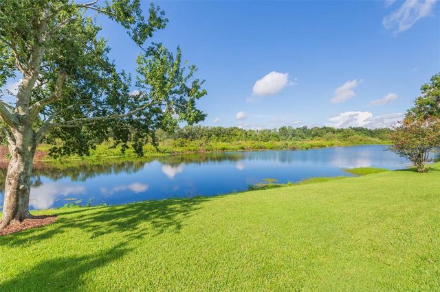 16502 WINDSOR PARK DRIVE, Lutz, FL 33549
