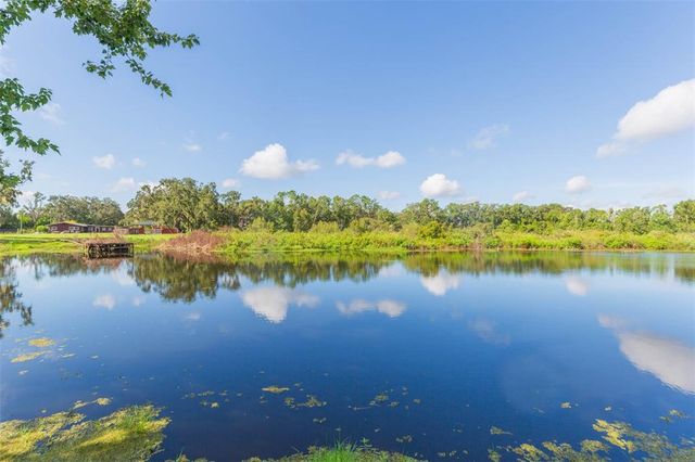 16502 WINDSOR PARK DRIVE, Lutz, FL 33549