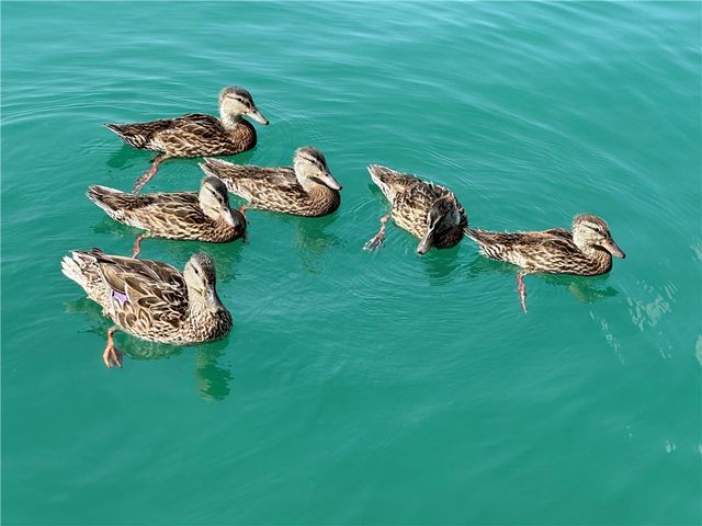 6872 - 6874 State Highway 80, Otsego, NY 13326