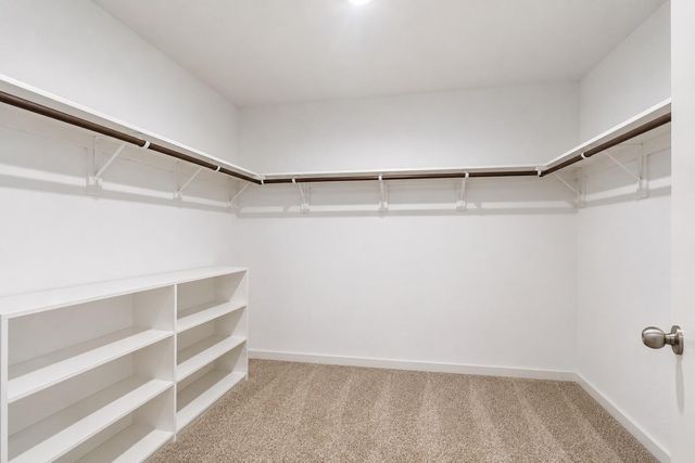 407 Turtle Oak Lane, Baytown, TX 77523