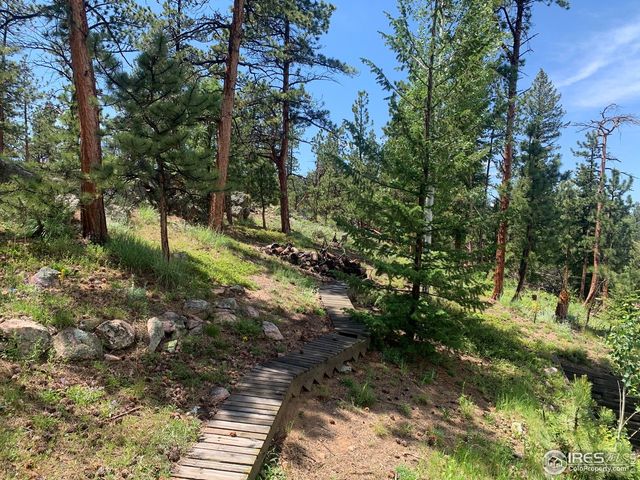231 Snake Lake Dr, Red Feather Lakes, CO 80545