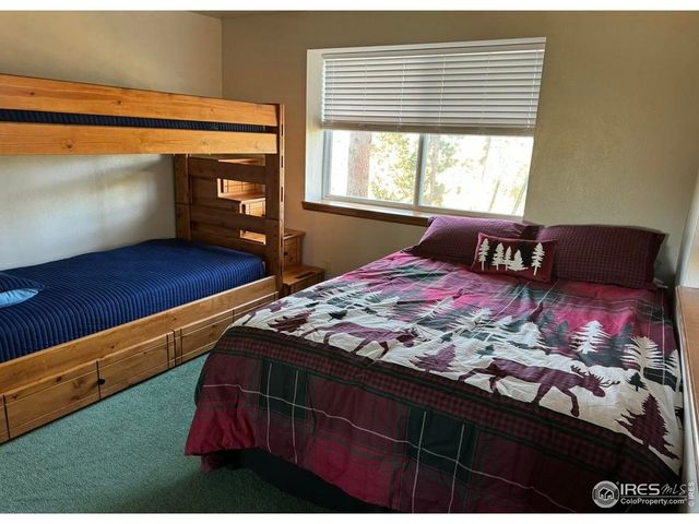 231 Snake Lake Dr, Red Feather Lakes, CO 80545