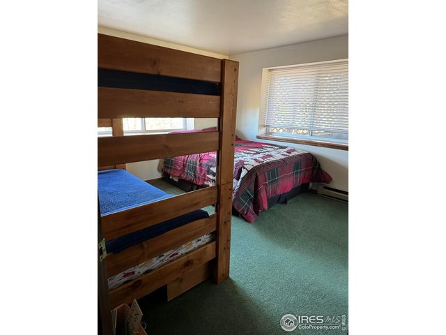 231 Snake Lake Dr, Red Feather Lakes, CO 80545