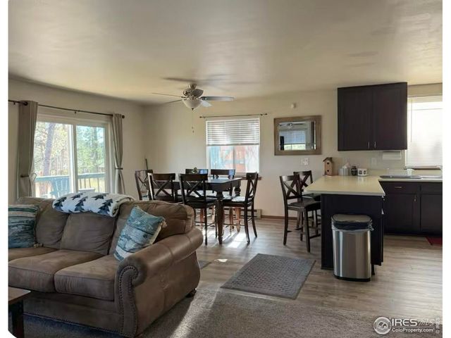 231 Snake Lake Dr, Red Feather Lakes, CO 80545