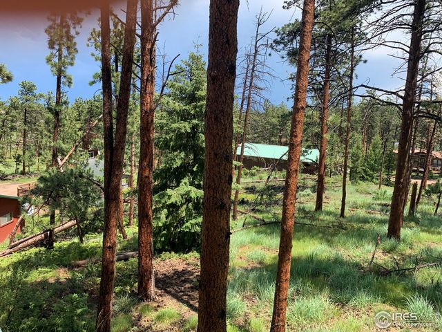 231 Snake Lake Dr, Red Feather Lakes, CO 80545