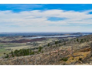 498 Helms Deep Rd, Bellvue, CO 80512