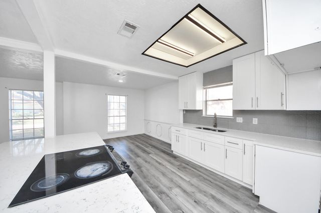 8011 La Roche Lane, Houston, TX 77036