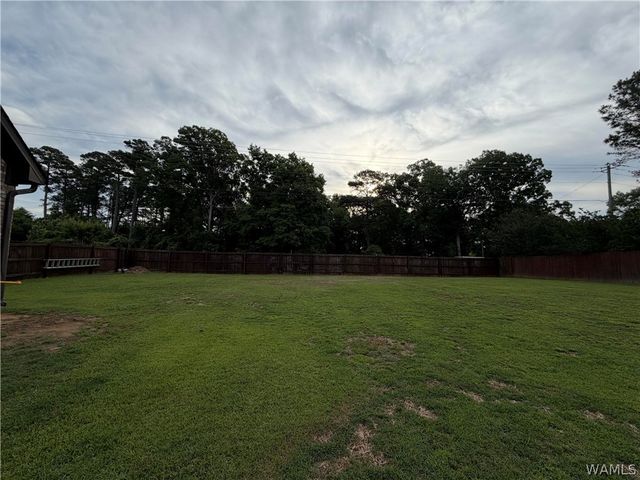 11524 Bushwick, Northport, AL 35475