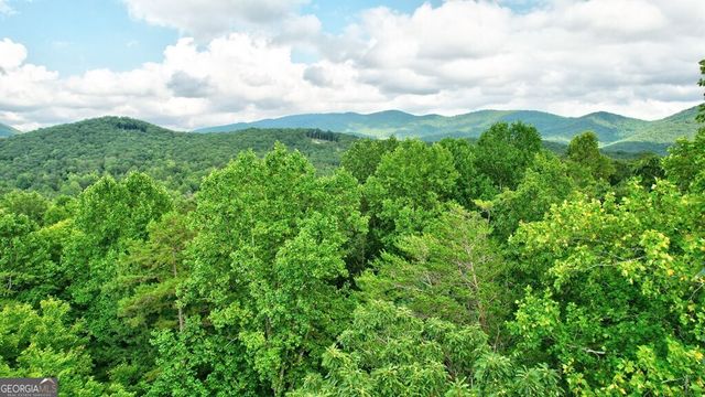 17.67 AC McGruder Road, Ellijay, GA 30536