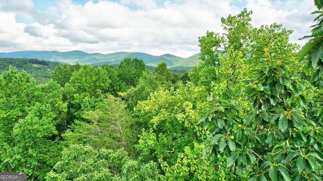 17.67 AC McGruder Road, Ellijay, GA 30536