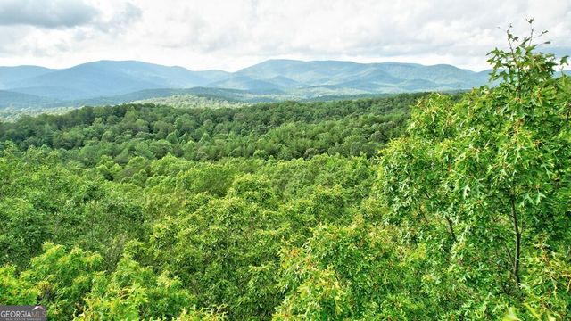 17.67 AC McGruder Road, Ellijay, GA 30536