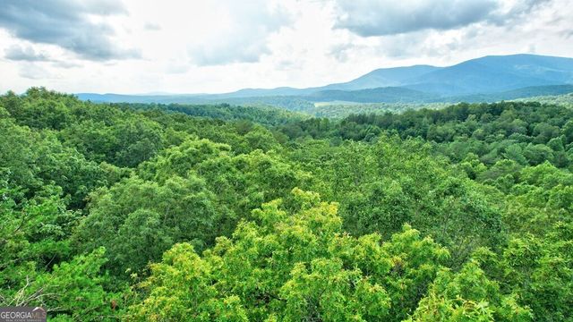 17.67 AC McGruder Road, Ellijay, GA 30536