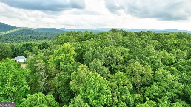17.67 AC McGruder Road, Ellijay, GA 30536