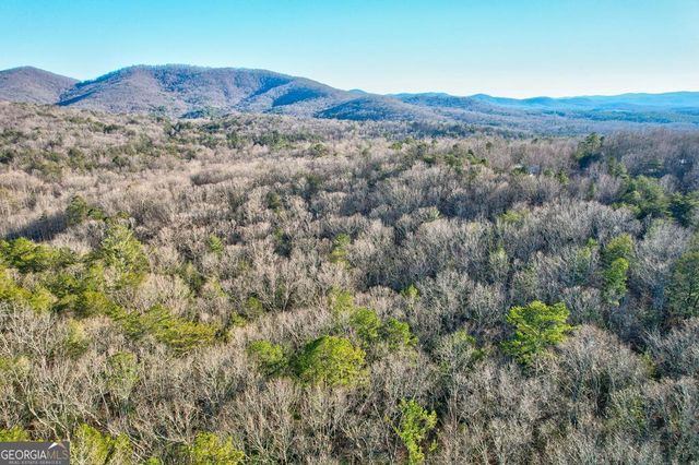 17.67 AC McGruder Road, Ellijay, GA 30536