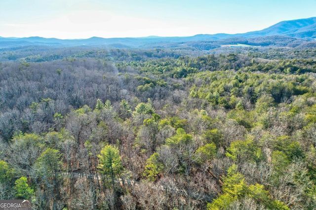17.67 AC McGruder Road, Ellijay, GA 30536