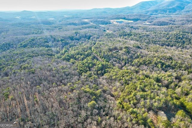 17.67 AC McGruder Road, Ellijay, GA 30536