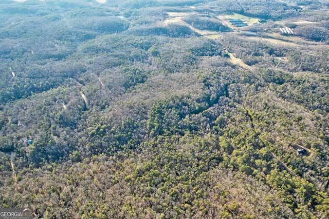 17.67 AC McGruder Road, Ellijay, GA 30536