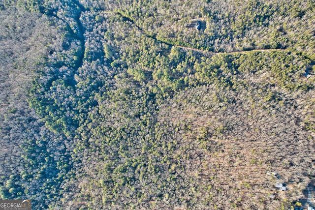 17.67 AC McGruder Road, Ellijay, GA 30536