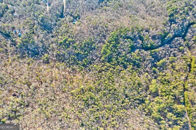 17.67 AC McGruder Road, Ellijay, GA 30536