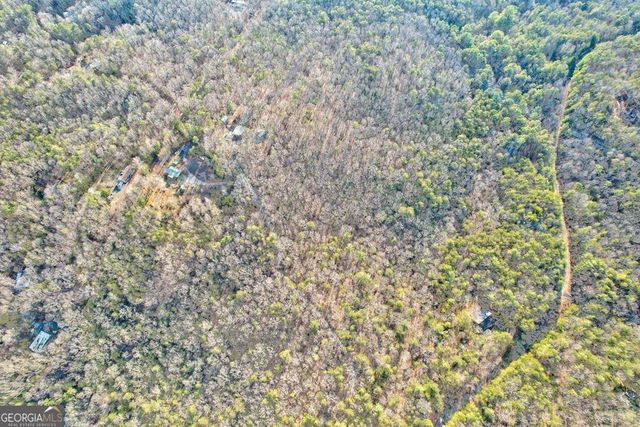 17.67 AC McGruder Road, Ellijay, GA 30536