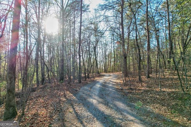 17.67 AC McGruder Road, Ellijay, GA 30536