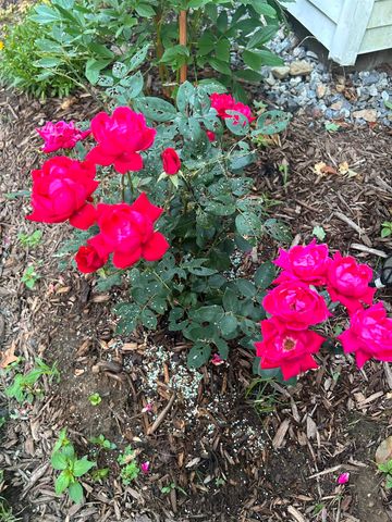 336 New Hampton Road, Franklin, NH 03235