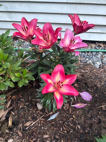 336 New Hampton Road, Franklin, NH 03235