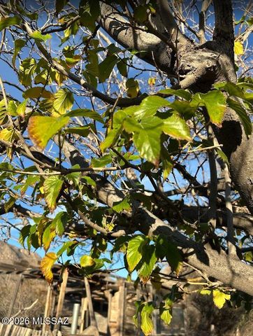 3644 W Vista Del Viejo, Bisbee, AZ 85603