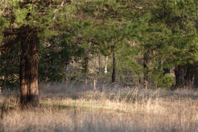 3842 Fm 2029, Telephone, TX 75488