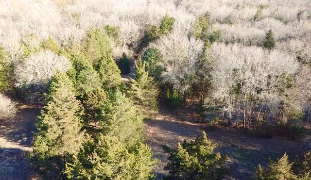 3842 Fm 2029, Telephone, TX 75488