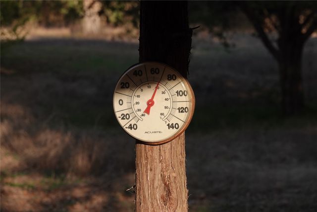 3842 Fm 2029, Telephone, TX 75488