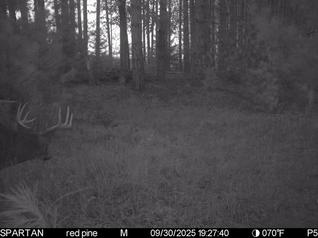 72000 E 46th Road, Clam Lake Twp, MI 49601