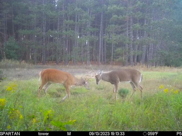 72000 E 46th Road, Clam Lake Twp, MI 49601