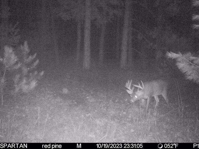 72000 E 46th Road, Clam Lake Twp, MI 49601