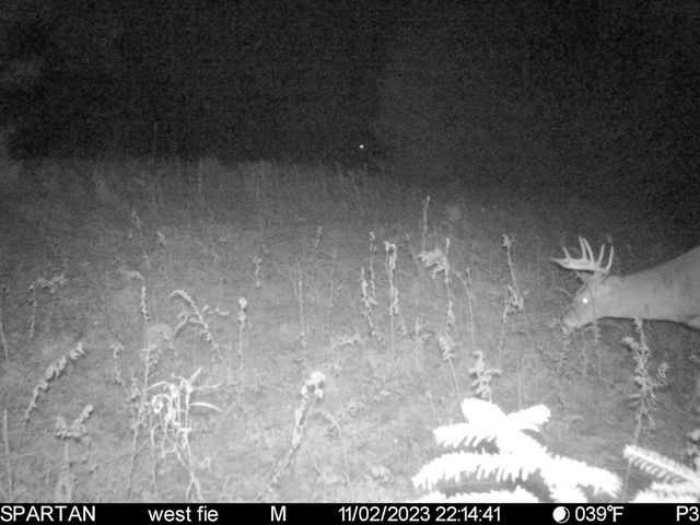 72000 E 46th Road, Clam Lake Twp, MI 49601