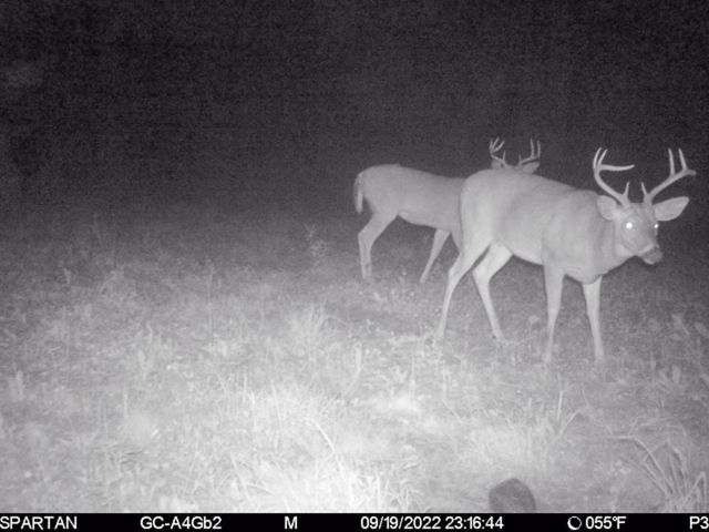 72000 E 46th Road, Clam Lake Twp, MI 49601