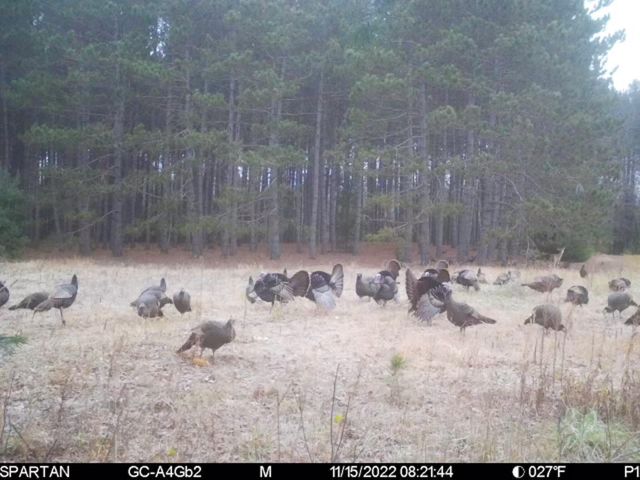 72000 E 46th Road, Clam Lake Twp, MI 49601