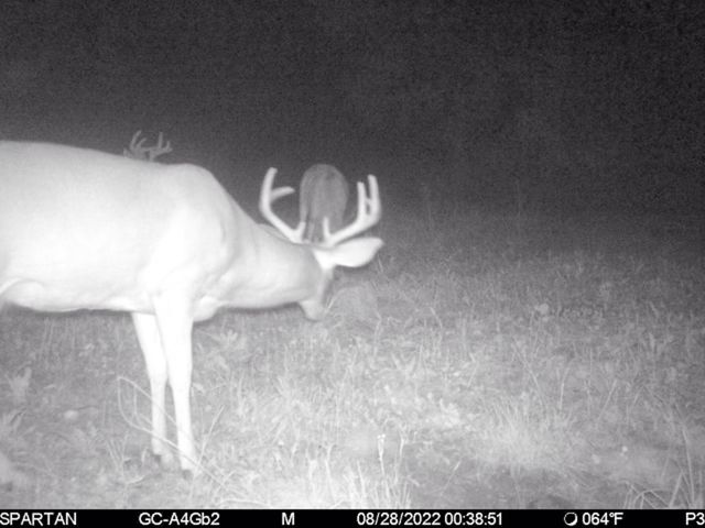 72000 E 46th Road, Clam Lake Twp, MI 49601