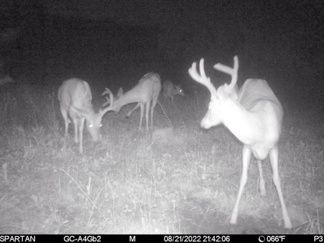 72000 E 46th Road, Clam Lake Twp, MI 49601