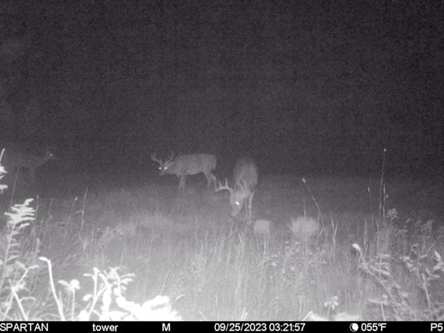 72000 E 46th Road, Clam Lake Twp, MI 49601