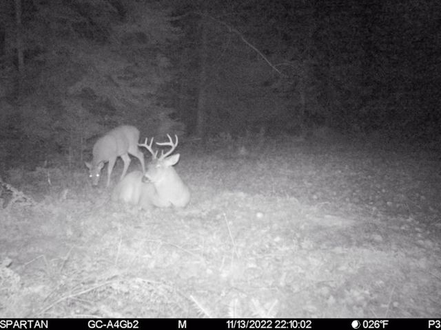 72000 E 46th Road, Clam Lake Twp, MI 49601