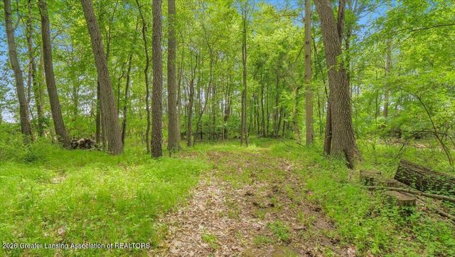 6540 Drumheller Road, Bath, MI 48808