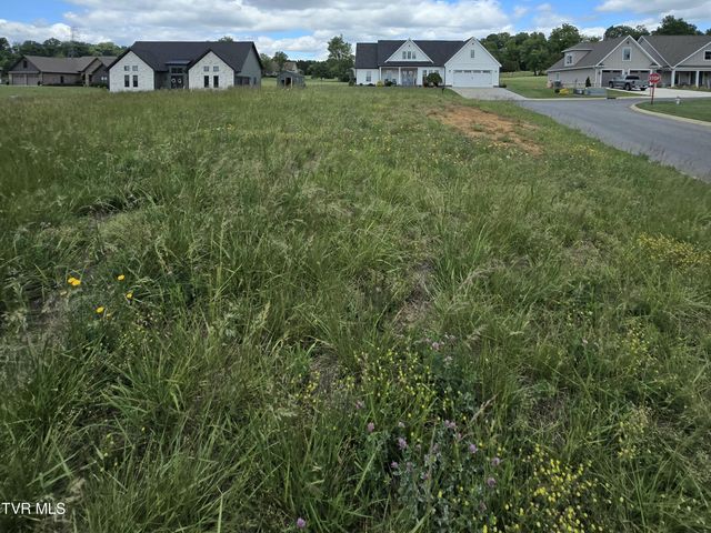 0 Cattlemans Trail, Jonesborough, TN 37659