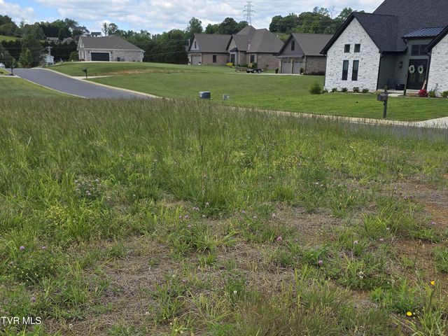 0 Cattlemans Trail, Jonesborough, TN 37659