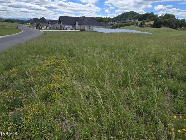 0 Cattlemans Trail, Jonesborough, TN 37659