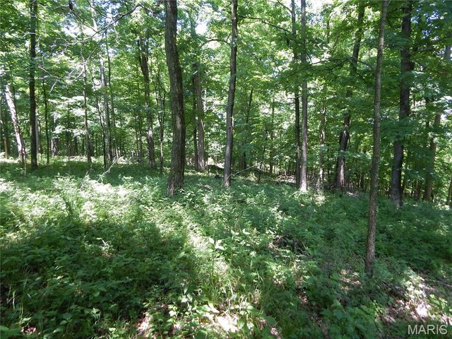 6230-1 Cuivre Ford Road, Troy, MO 63379