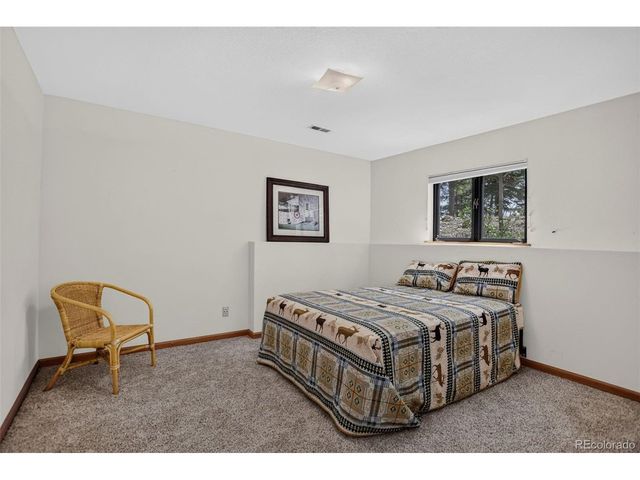 71 Columbine Dr, Bailey, CO 80421