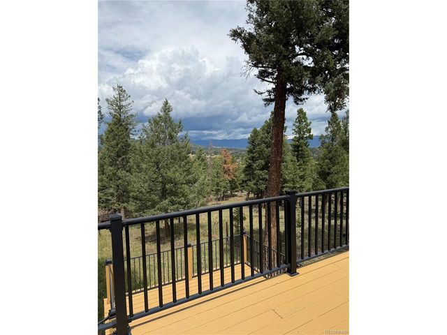 71 Columbine Dr, Bailey, CO 80421