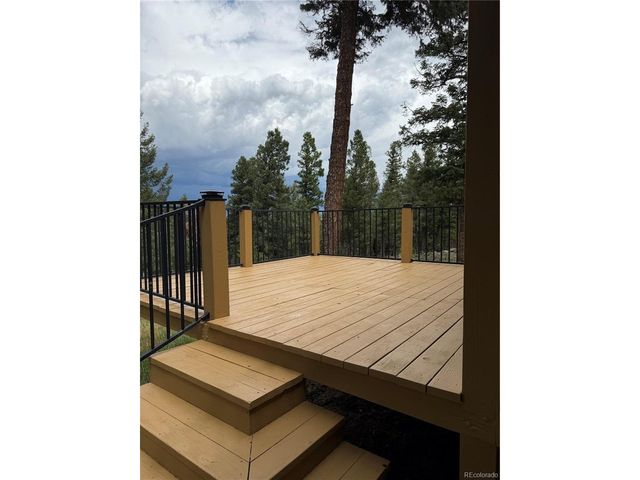 71 Columbine Dr, Bailey, CO 80421